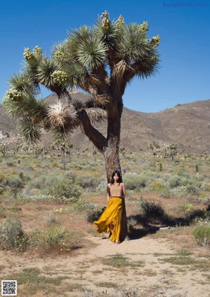 A woman tied up to a palm tree in the desert.